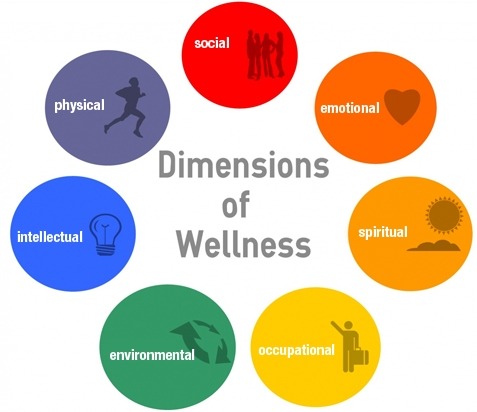 Wellness Wheel 1 1
