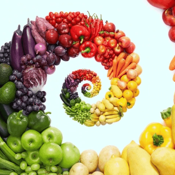 Wellness Wheel 3 image 2