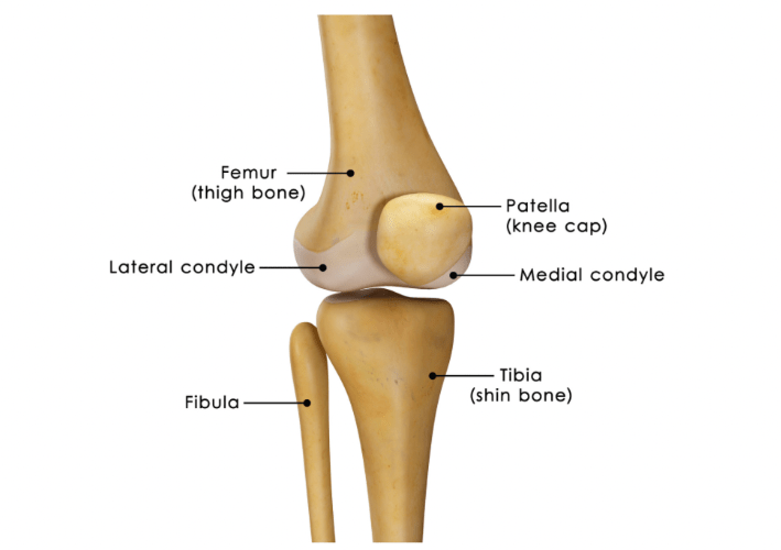 🏃🏾♂️Runners knee or 🍿Moviegoer's knee ? 1 image 17