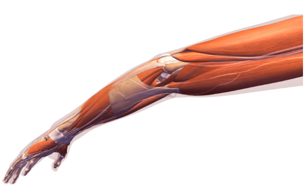 Tennis Elbow 2 image 26
